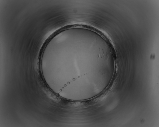 X0000101160879200807181356