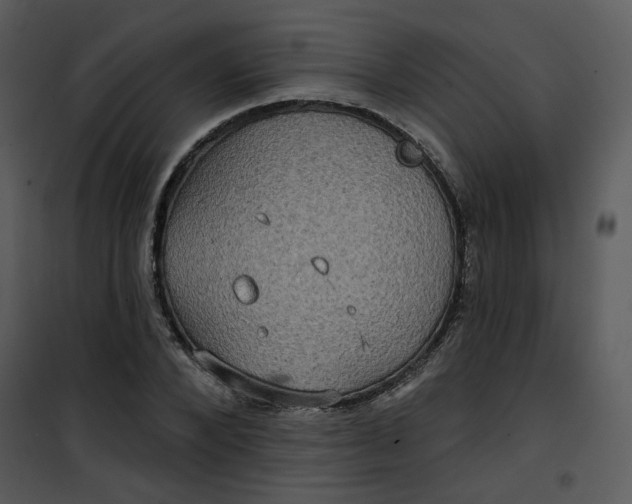 X0000101160880200807181356