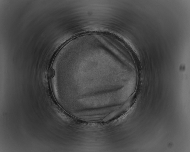 X0000101160881200807181356