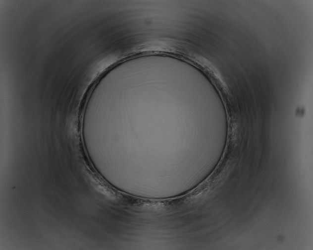 X0000101160882200807181356