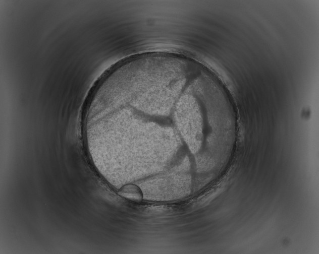 X0000101160883200807181356