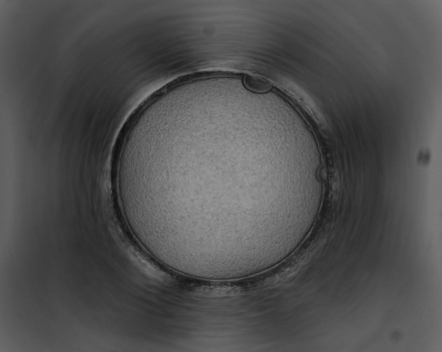 X0000101160884200807181356