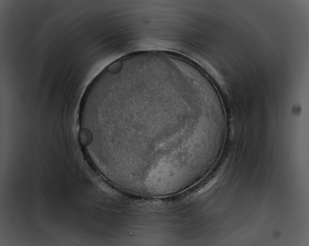 X0000101160885200807181356