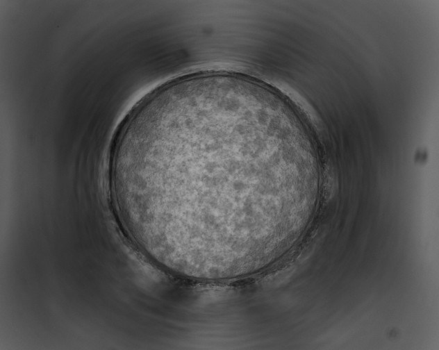 X0000101160886200807181356