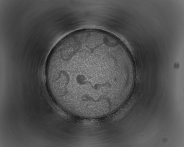 X0000101160887200807181356