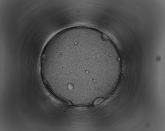 X0000101160888200807181356