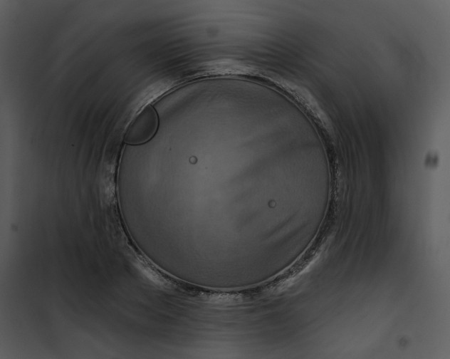 X0000101160889200807181356