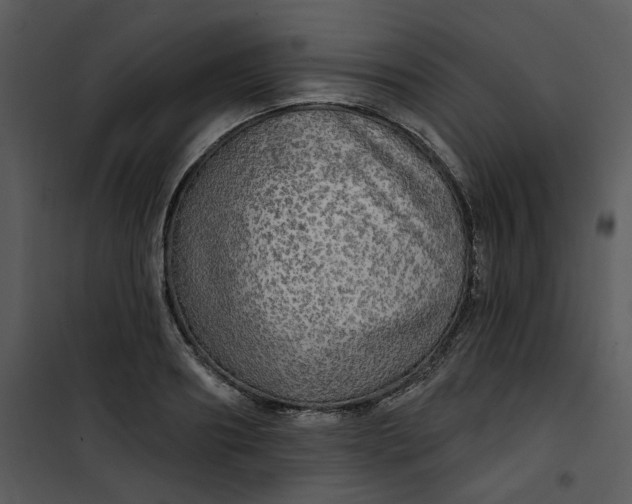 X0000101160890200807181356