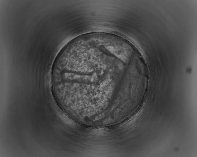 X0000101160891200807181356