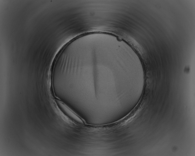 X0000101160892200807181356