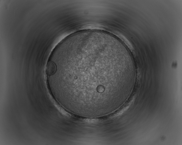 X0000101160893200807181356