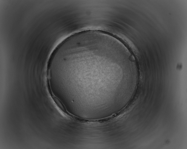 X0000101160894200807181356