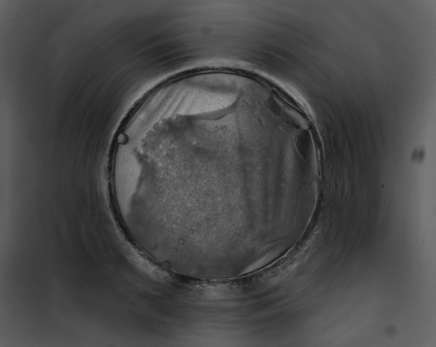 X0000101160895200807181356