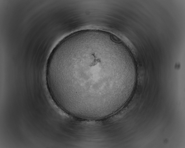 X0000101160896200807181356