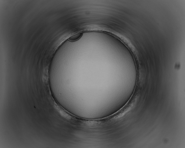 X0000101160897200807181356