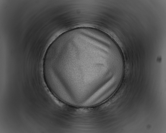 X0000101160898200807181356