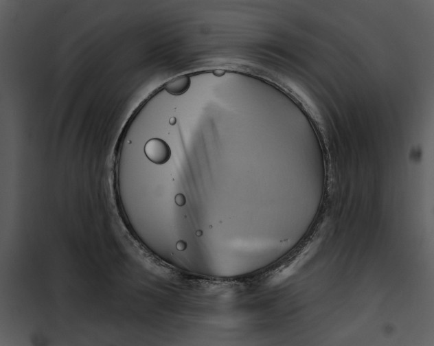 X0000101160899200807181355