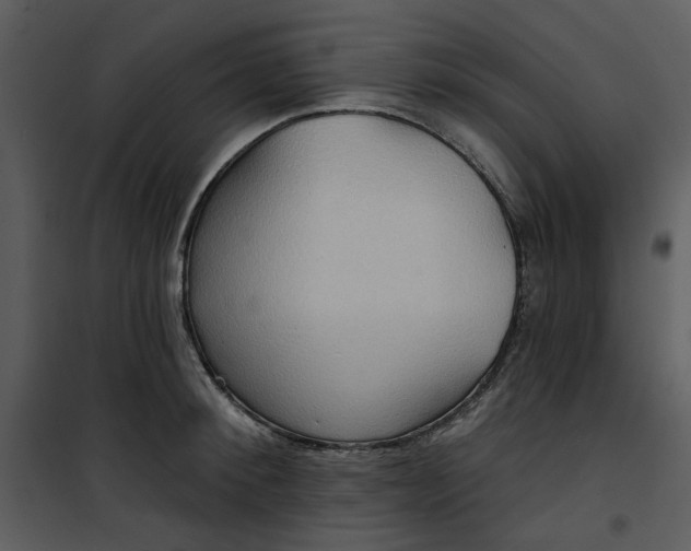 X0000101160900200807181355