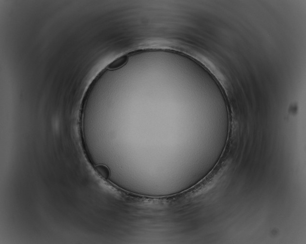 X0000101160901200807181355