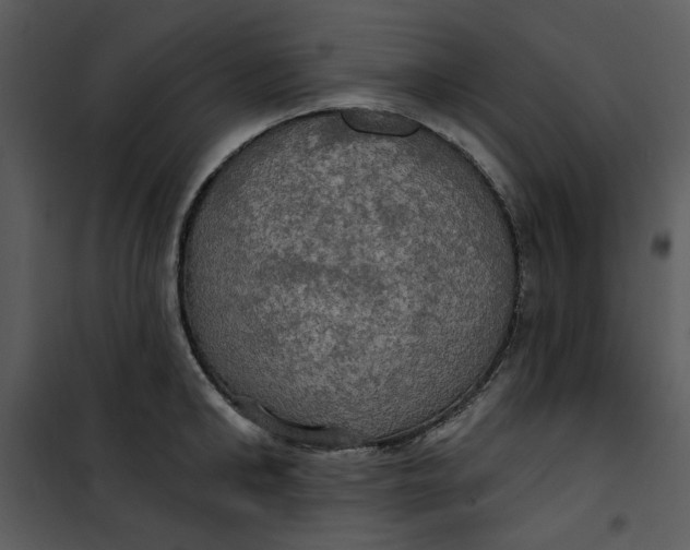 X0000101160902200807181355