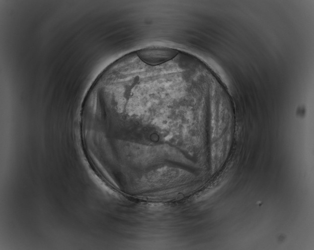 X0000101160903200807181355