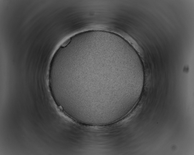 X0000101160904200807181355