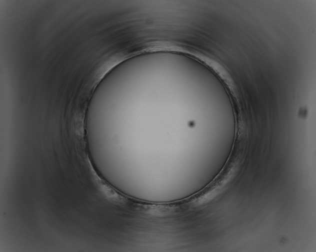 X0000101160905200807181355