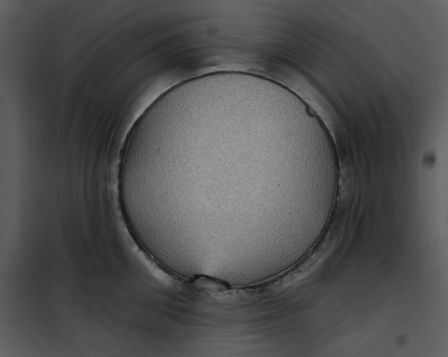 X0000101160906200807181355