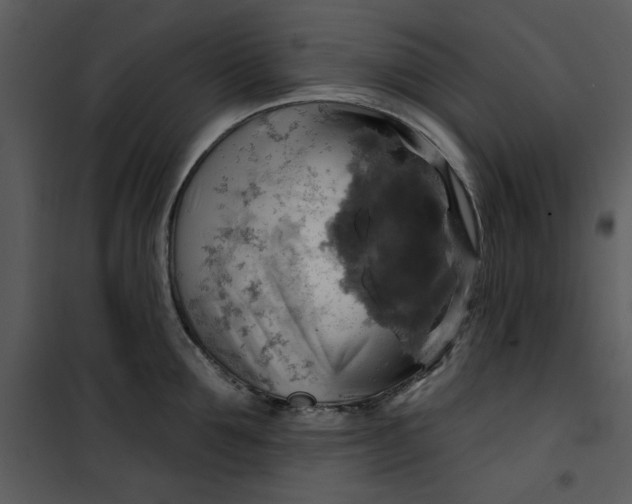 X0000101160907200807181355