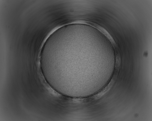 X0000101160908200807181355