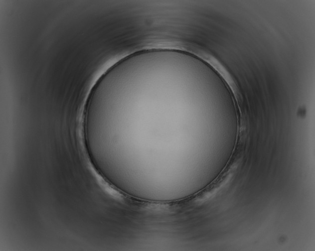 X0000101160909200807181355