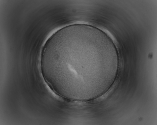 X0000101160910200807181355