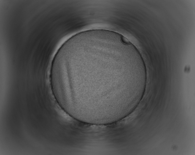 X0000101160912200807181355