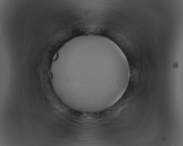 X0000101160913200807181354