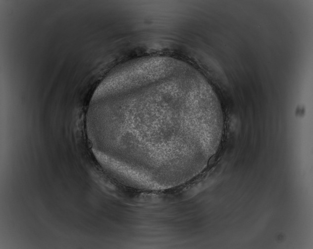 X0000101160914200807181354