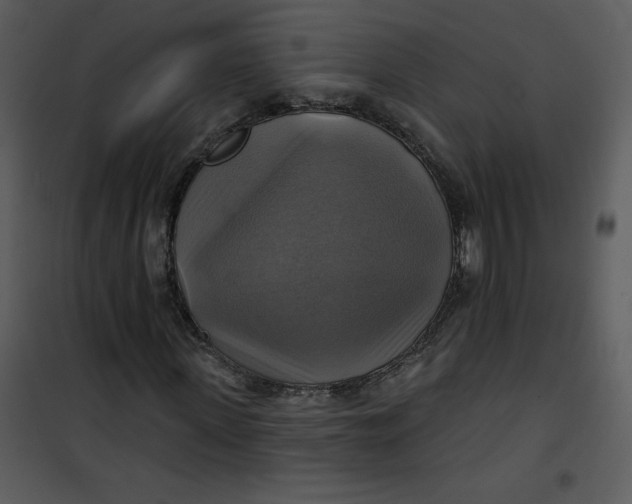 X0000101160915200807181354