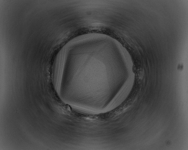 X0000101160916200807181355