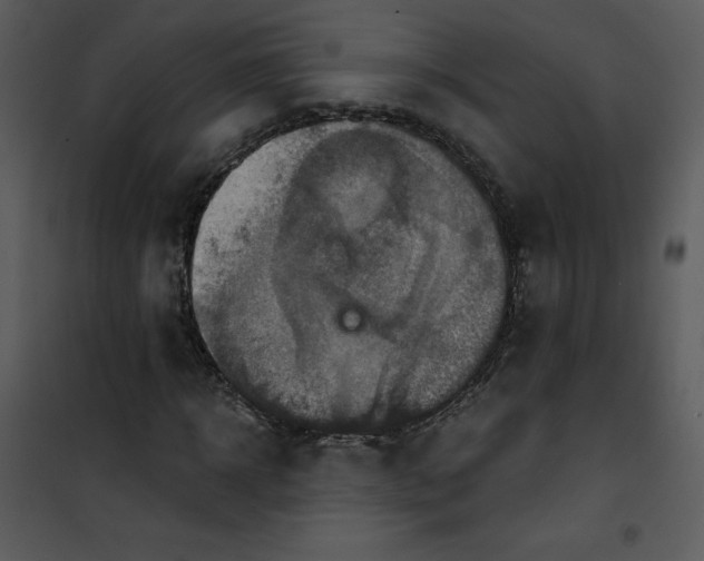 X0000101160918200807181355