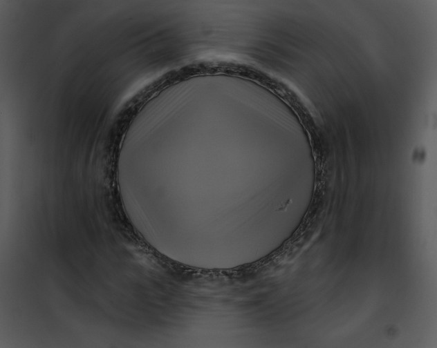 X0000101160919200807181355