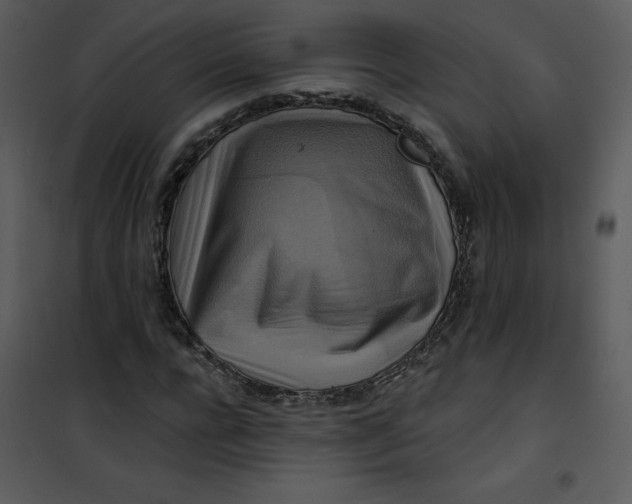 X0000101160920200807181355