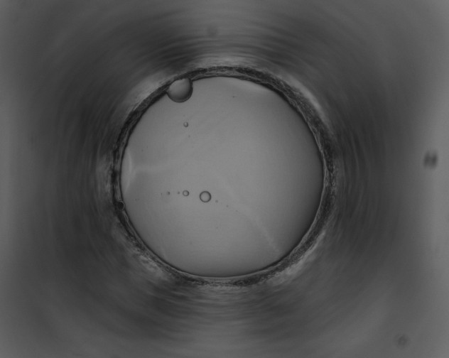 X0000101160921200807181355