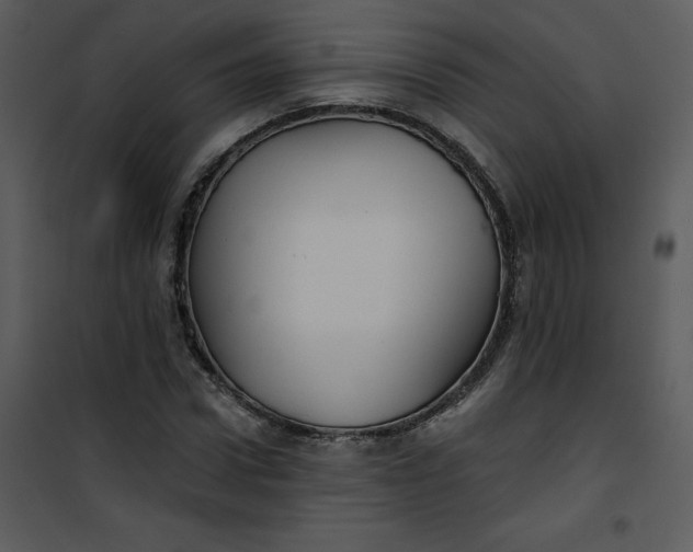 X0000101160922200807181355