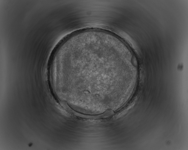 X0000101160924200807181355