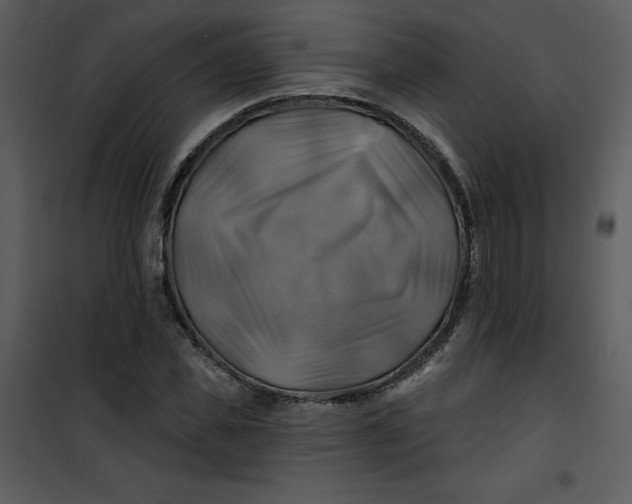 X0000101160925200807181355