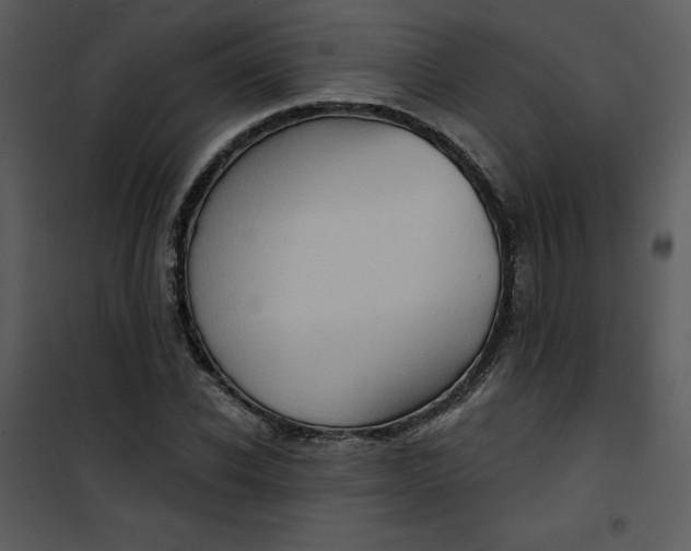 X0000101160926200807181355