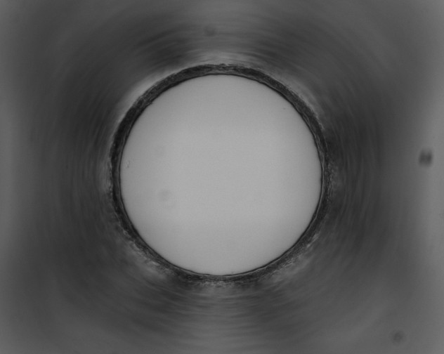 X0000101160927200807181355