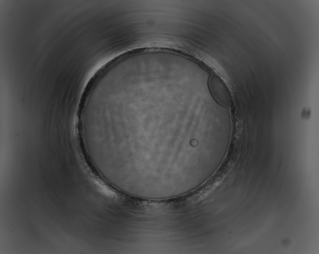 X0000101160928200807181355