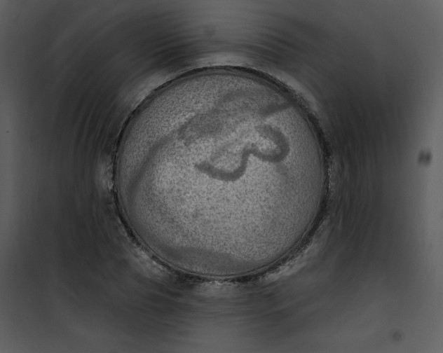 X0000101160929200807181355