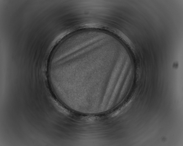 X0000101160930200807181355