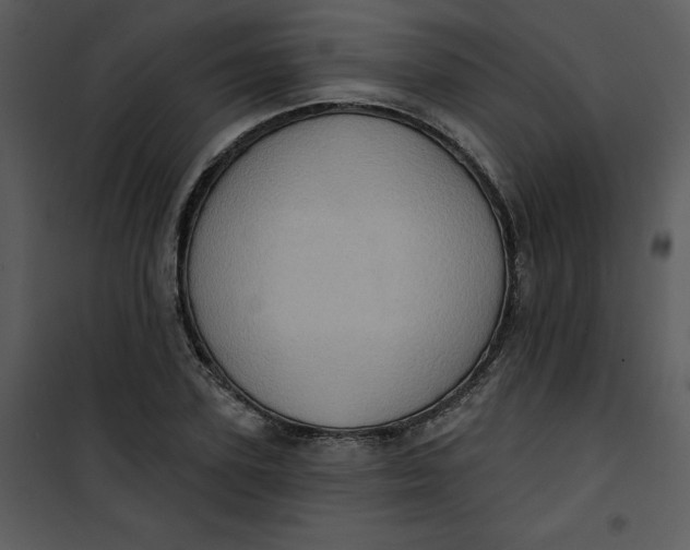 X0000101160931200807181355